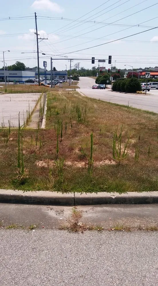 Reliable yard maintenance for residential properties in Danville, VA by Gibbs Lawn Care and Landscaping