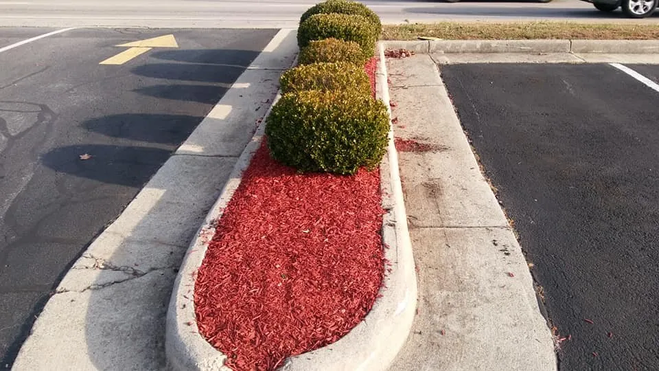 Reliable lawn mowing service for homes in Danville, VA by Gibbs Lawn Care and Landscaping