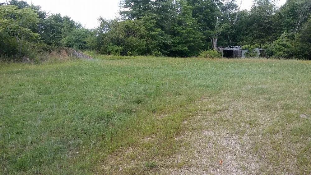 Top-rated yard maintenance in Danville, VA - Gibbs Lawn Care and Landscaping