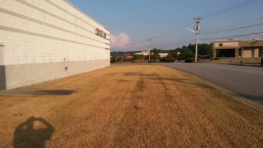 Professional yard cleanup service with custom design across Danville, VA - Gibbs Lawn Care and Landscaping