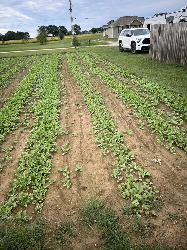 Affordable outdoor landscaping in Leoma, TN by Gibbs Mowing and Landscaping