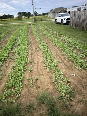 Gibbs Mowing and Landscaping