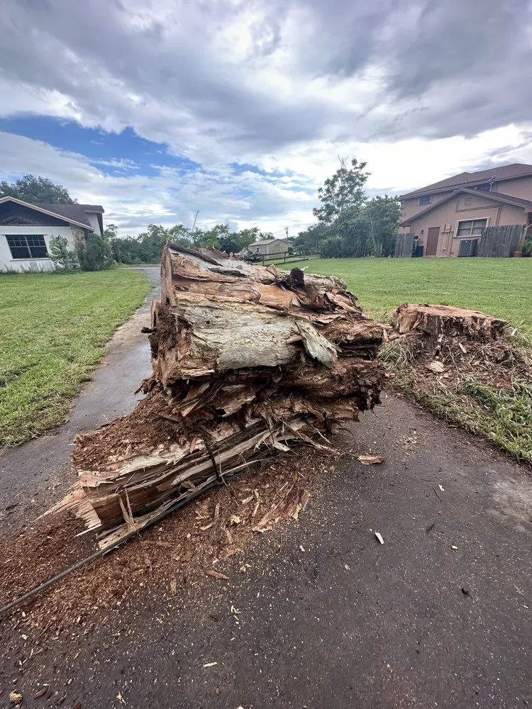 Trusted landscape design for homes across Boca Raton, FL - Gibbs Pro Services