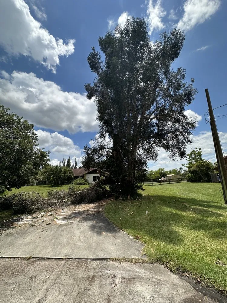 Expert landscape installation in Boca Raton, FL by Gibbs Pro Services