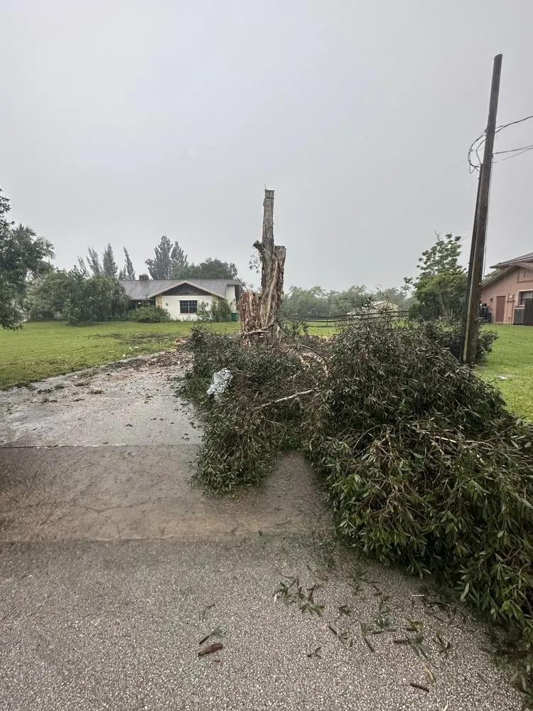 Professional lawn care service for residential properties across Boca Raton, FL - Gibbs Pro Services