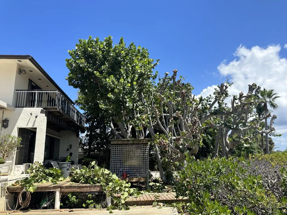 Local lawn care service in Boca Raton, FL by Gibbs Pro Services