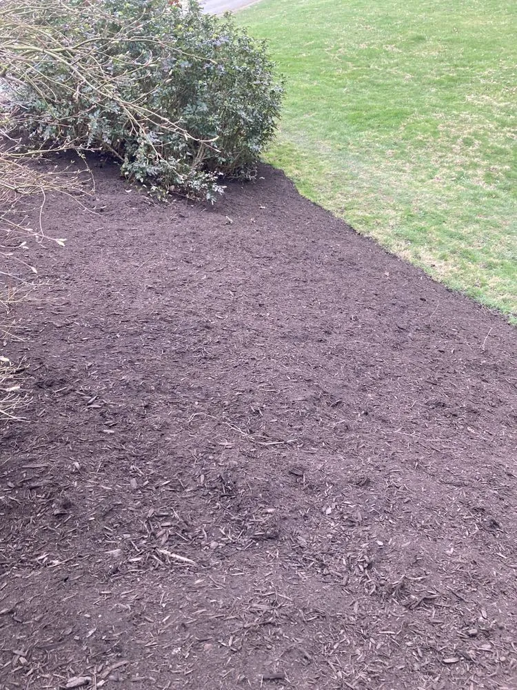 Local yard maintenance experts serving Glenshaw, PA - Gibler Grounds