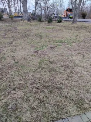 Gibson Clean Cut Lawn Care