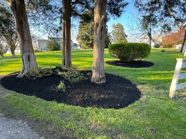 Reliable lawn care service in Church Hill, MD - Gibson Grounds