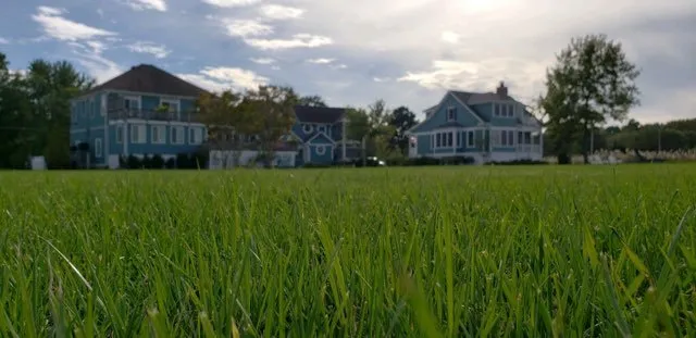Local lawn mowing service experts serving Church Hill, MD - Gibson Grounds
