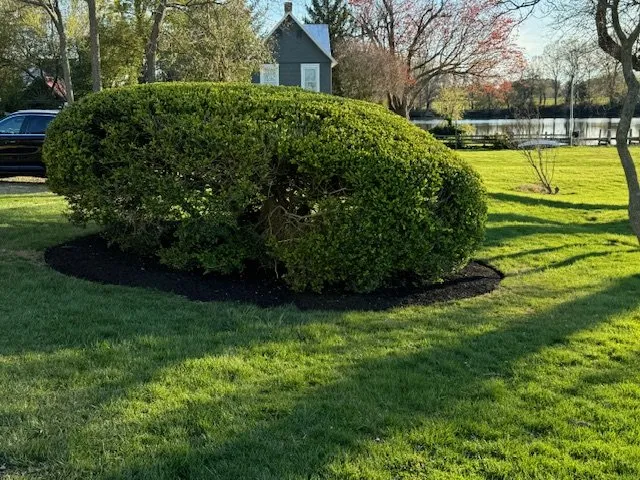Trusted yard cleanup service for outdoor upgrades across Church Hill, MD - Gibson Grounds