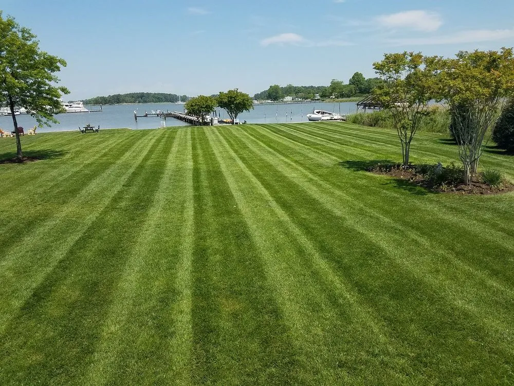 Local yard maintenance in Church Hill, MD by Gibson Grounds