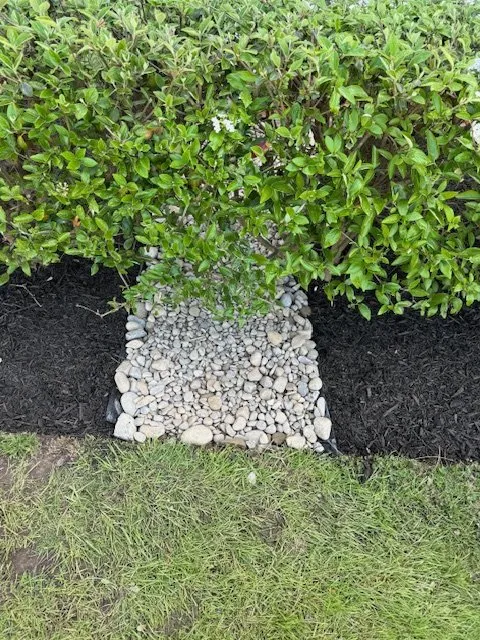 Reliable yard cleanup service in Church Hill, MD - Gibson Grounds
