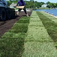 Expert landscape installation in Church Hill, MD by Gibson Grounds