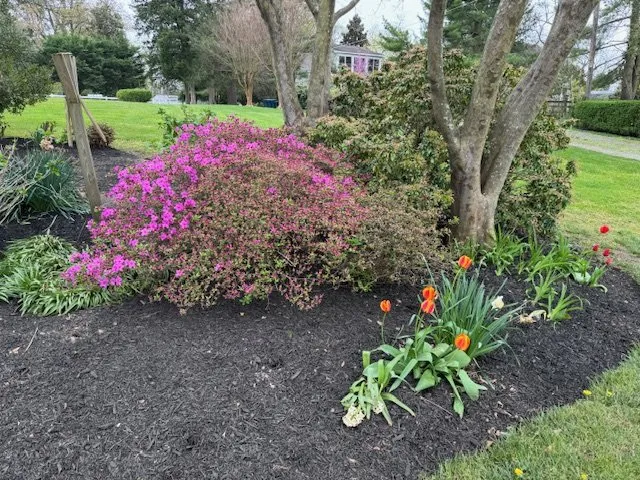 Custom landscaping services for outdoor upgrades across Church Hill, MD - Gibson Grounds