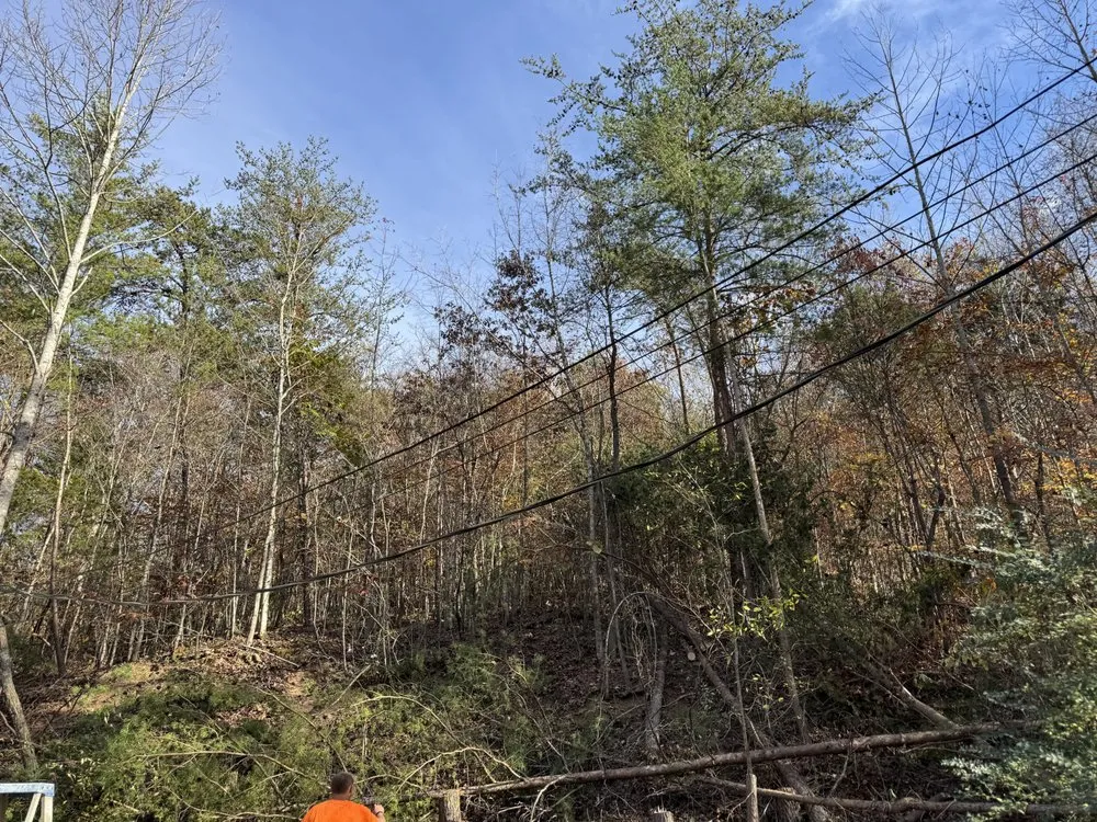 Top-rated yard maintenance in Sharps Chapel, TN by Gibson Land Services