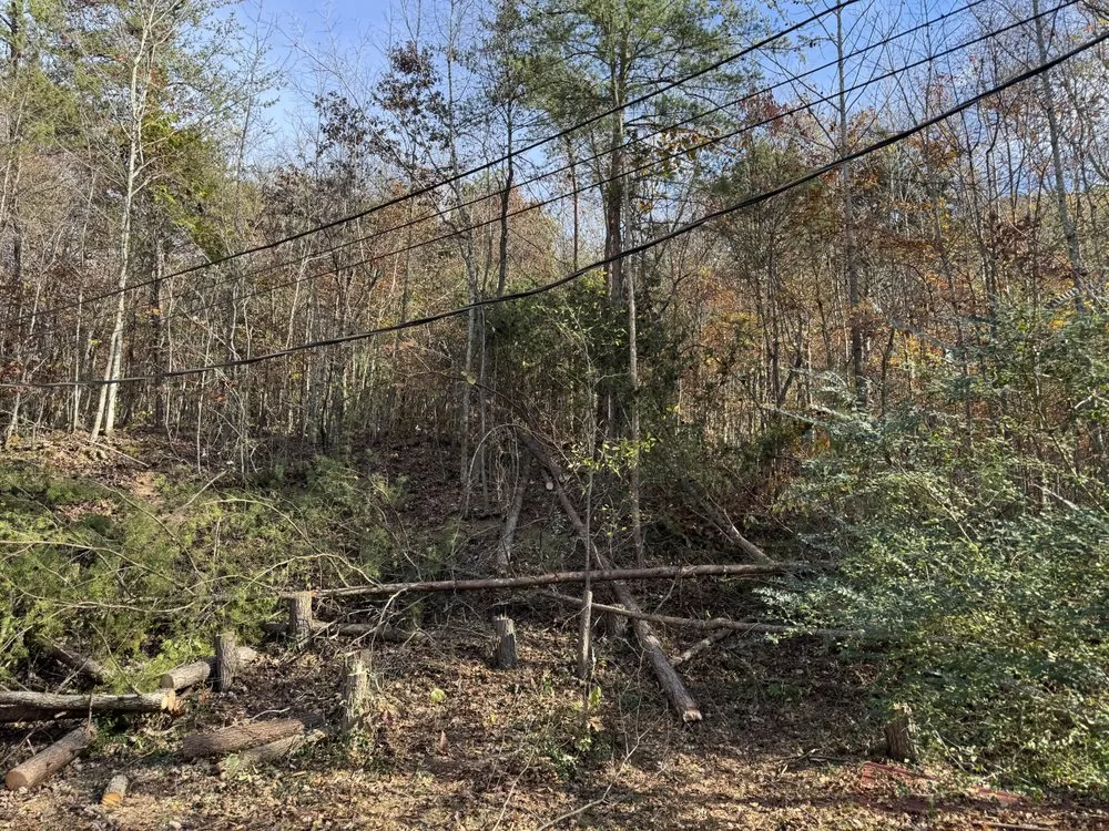 Custom garden landscaping near you across Sharps Chapel, TN - Gibson Land Services