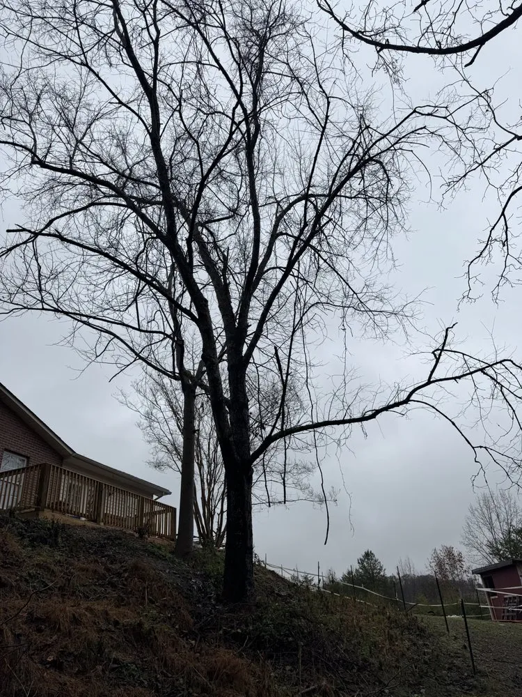 Top-rated landscape installation for residential properties in Sharps Chapel, TN by Gibson Land Services