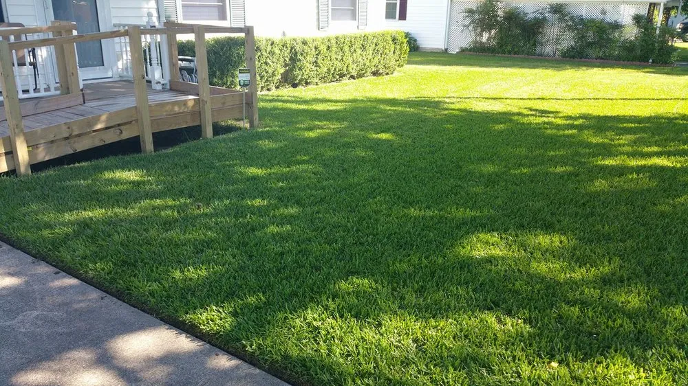 Expert lawn care service experts serving Terrell, TX - Gibson Lawn Care
