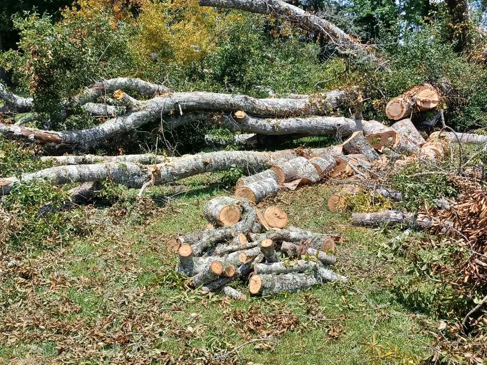 Local landscape installation with custom design in Toxey, AL by Gibson Lawn Service and Junk Hauling