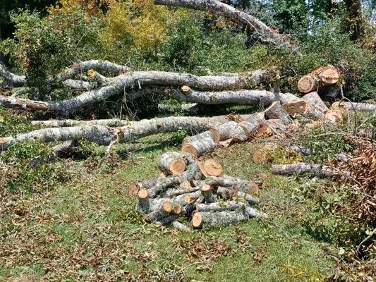 Gibson Lawn Service and Junk Hauling