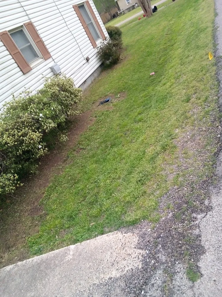 Top-rated landscape design experts serving Manila, AR - Gibson Lawn Service