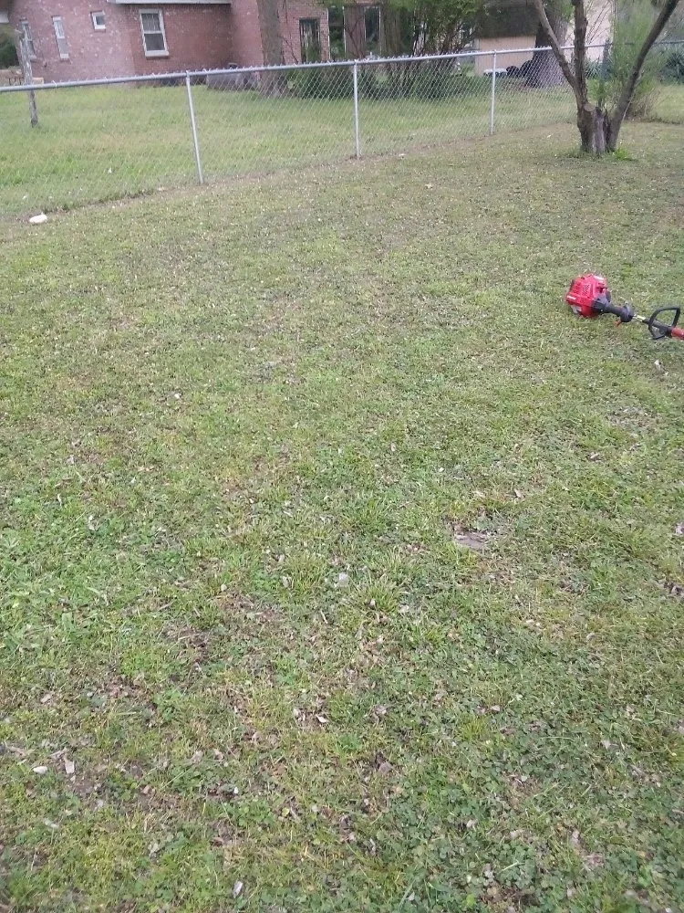 Professional yard cleanup service experts serving Manila, AR - Gibson Lawn Service