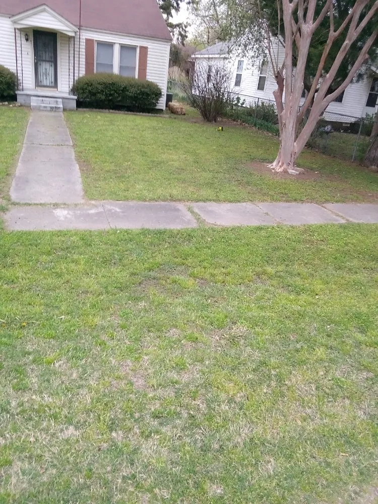 Trusted residential landscaping near you in Manila, AR by Gibson Lawn Service