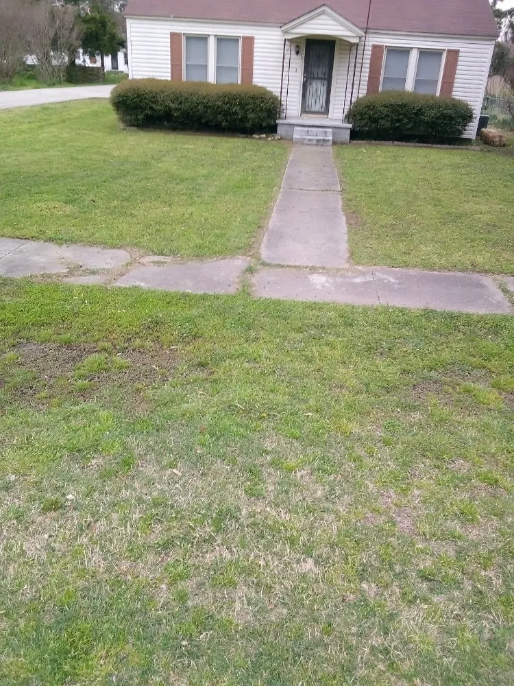 Expert yard maintenance in Manila, AR by Gibson Lawn Service