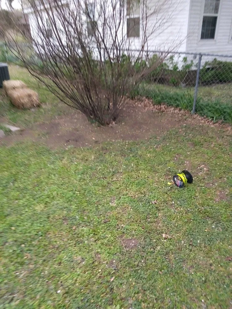 Expert landscape design for homes in Manila, AR by Gibson Lawn Service