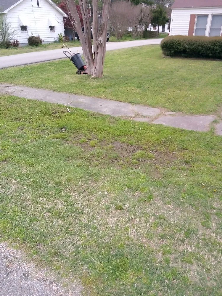 Professional garden landscaping in Manila, AR by Gibson Lawn Service