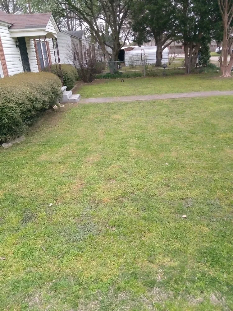 Trusted landscaping services near you across Manila, AR - Gibson Lawn Service