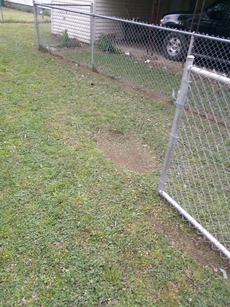 Local landscape design in Manila, AR - Gibson Lawn Service