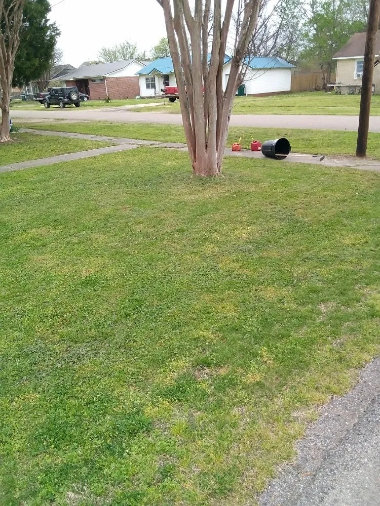 Custom landscape design for beautiful yards across Manila, AR - Gibson Lawn Service