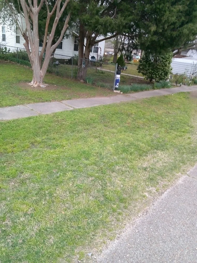 Local yard cleanup service in Manila, AR - Gibson Lawn Service