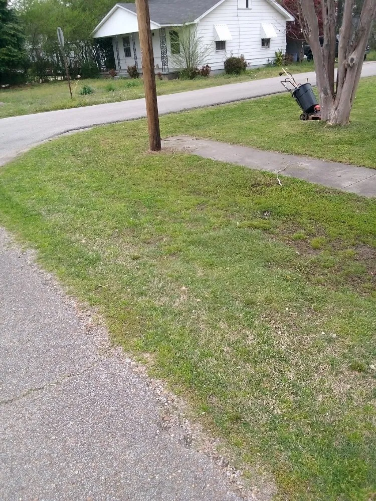 Top-rated residential landscaping in Manila, AR - Gibson Lawn Service