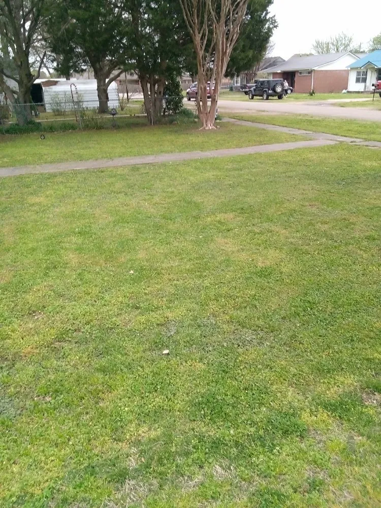 Professional landscape design in Manila, AR - Gibson Lawn Service