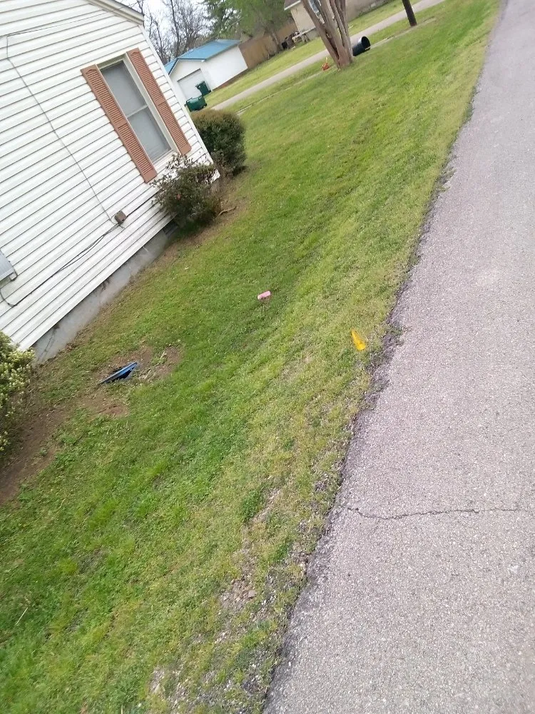 Affordable landscaping services for homes in Manila, AR by Gibson Lawn Service