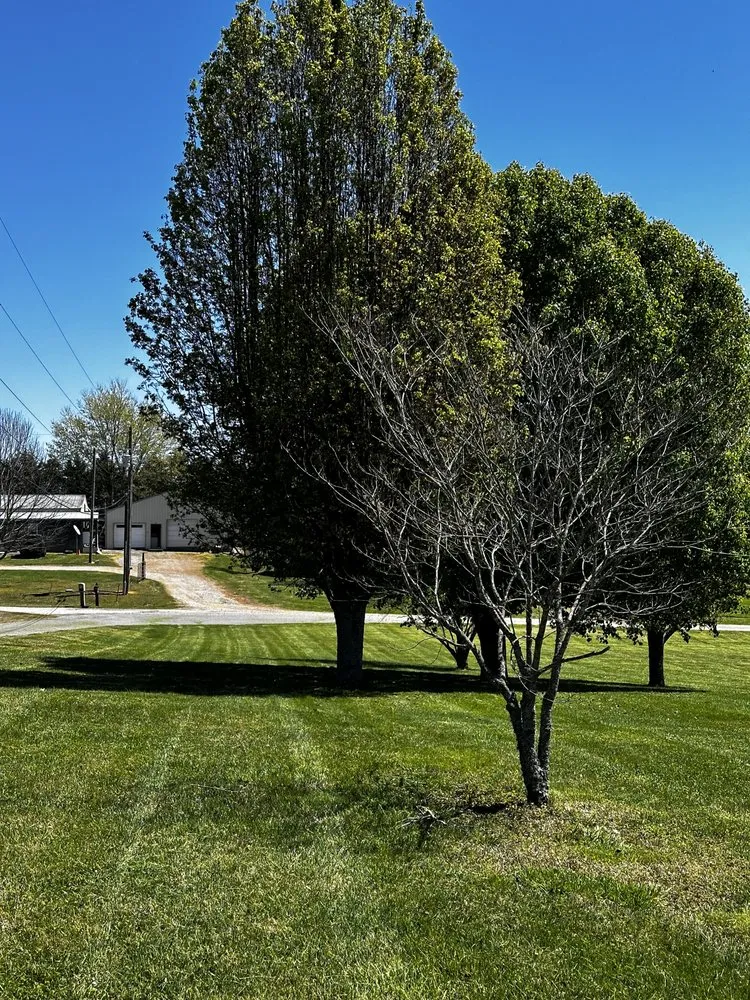 Expert garden landscaping in Fayetteville, TN - Gibson Lawncare