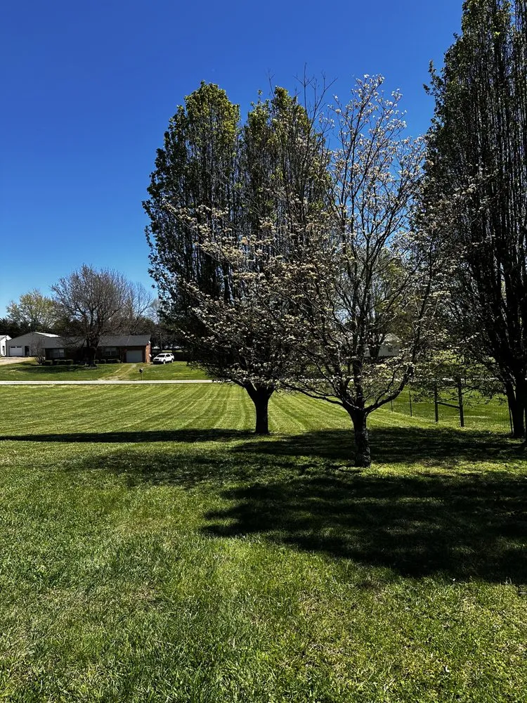 Custom lawn mowing service for homes across Fayetteville, TN - Gibson Lawncare