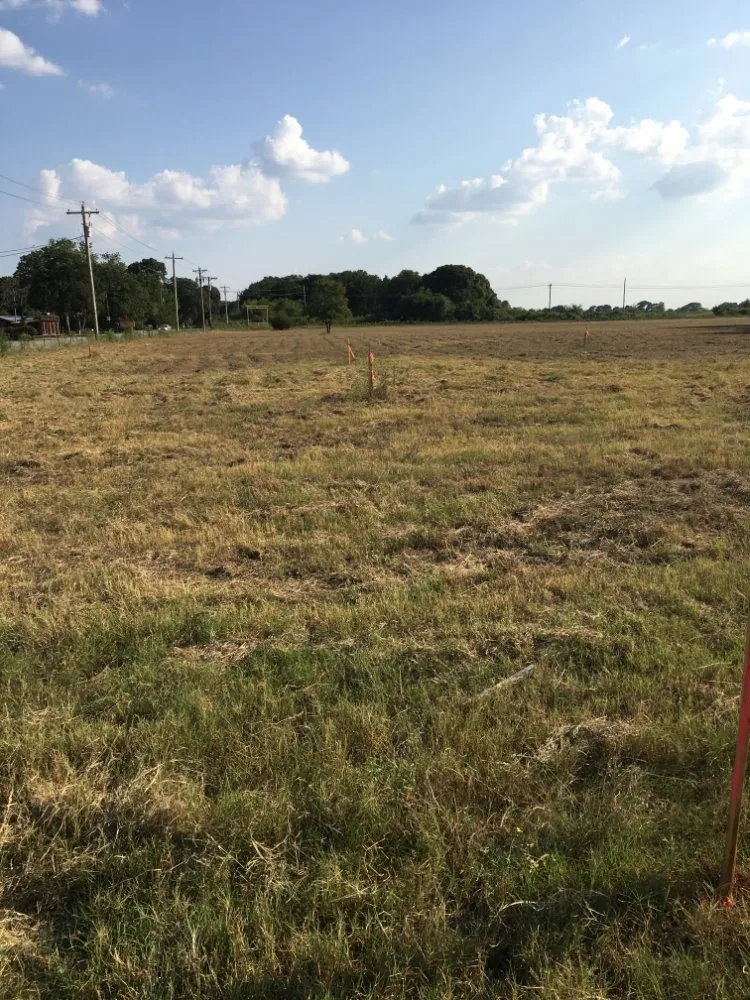 Expert lawn mowing service in Cut and Shoot, TX by Gibson Property Services