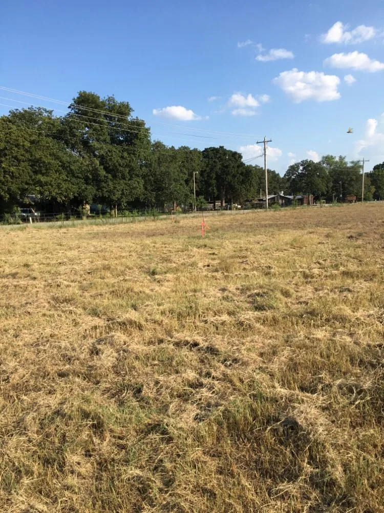Local lawn mowing service for residential properties in Cut and Shoot, TX by Gibson Property Services