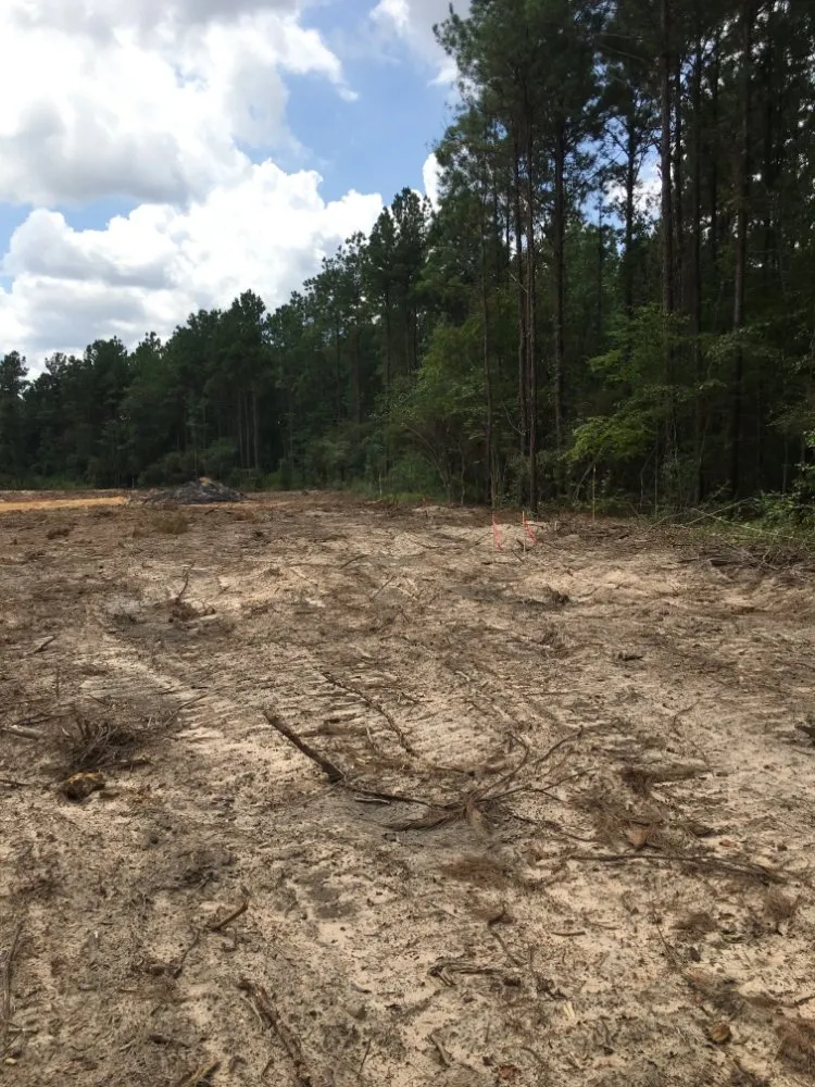 Professional residential landscaping experts serving Cut and Shoot, TX - Gibson Property Services