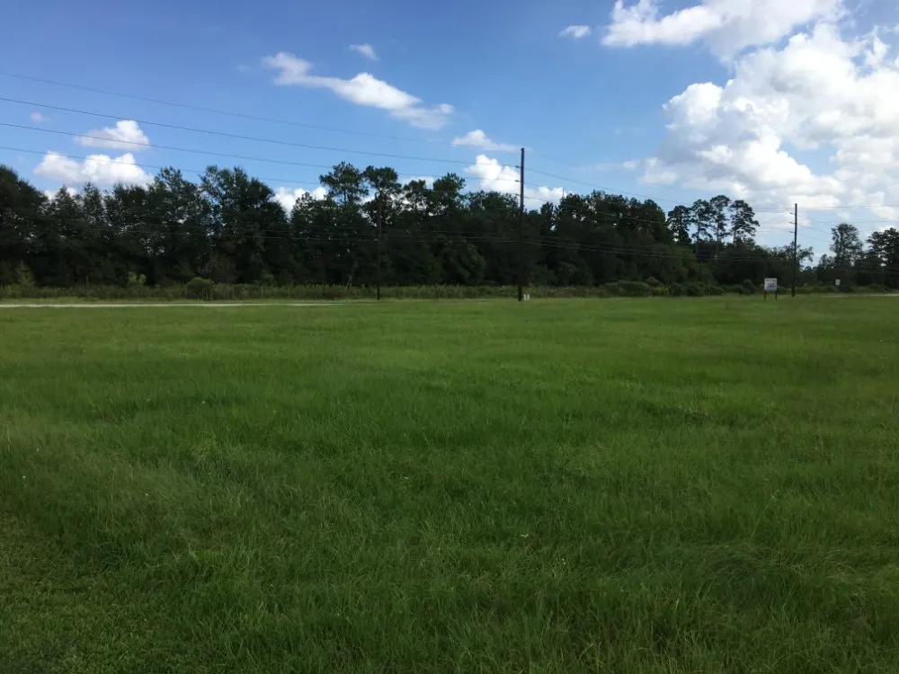 Affordable landscape design for year-round maintenance across Cut and Shoot, TX - Gibson Property Services