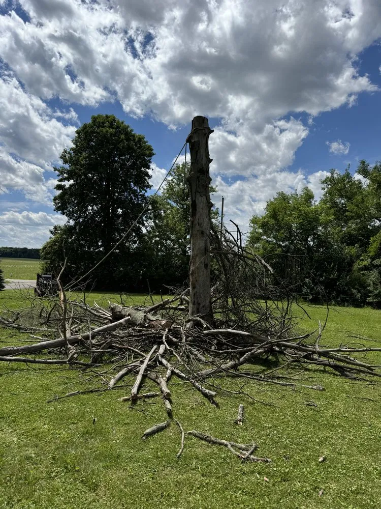 Affordable landscape installation in West Alexandria, OH by Gibson Tree & Lawn