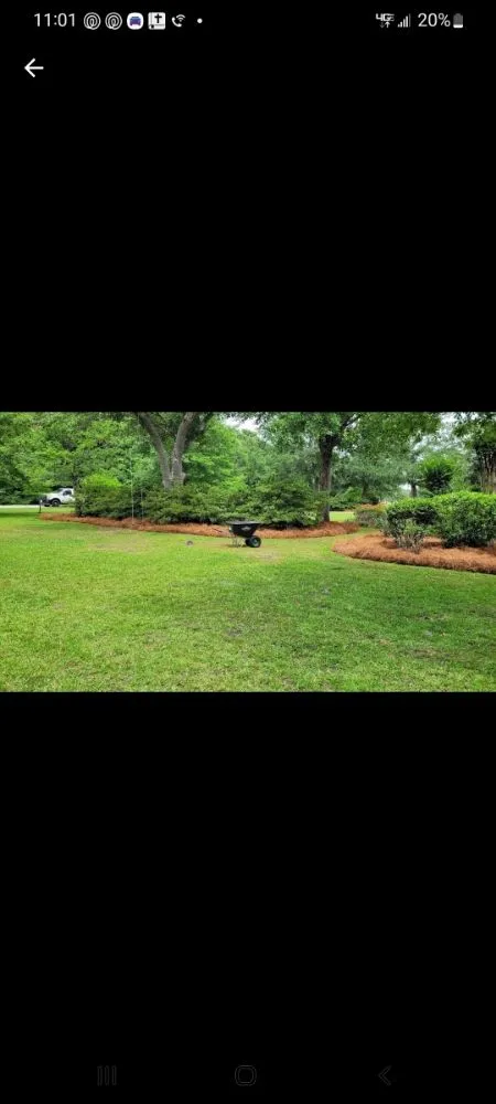 Top-rated lawn mowing service for beautiful yards across Ocean Springs, MS - Gibsons Lawn Service