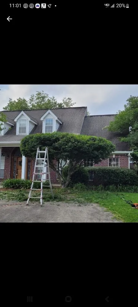 Affordable yard cleanup service experts serving Ocean Springs, MS - Gibsons Lawn Service