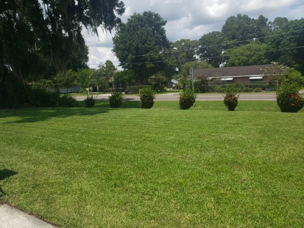 Local residential landscaping experts serving Wahneta, FL - Giddens General Services