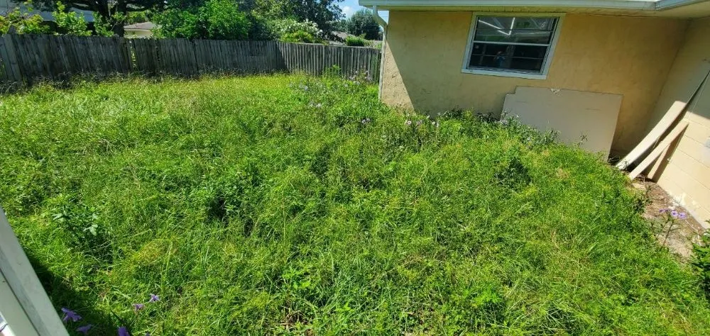 Local lawn care service for outdoor upgrades in Wahneta, FL by Giddens General Services