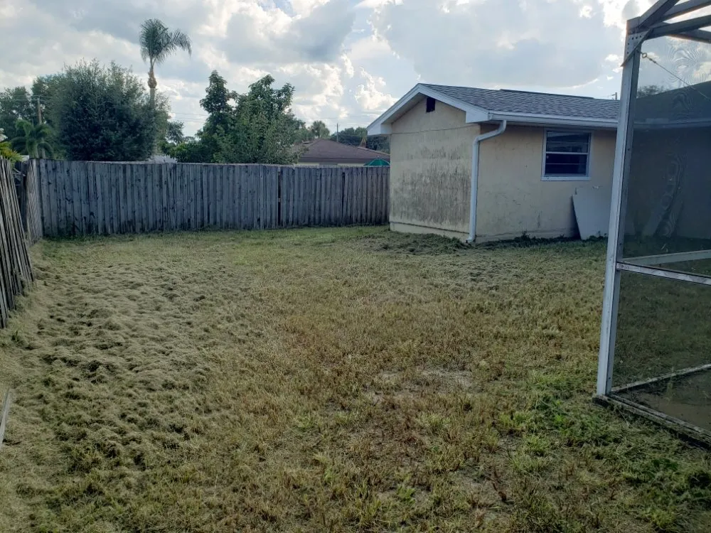 Reliable landscaping services in Wahneta, FL - Giddens General Services